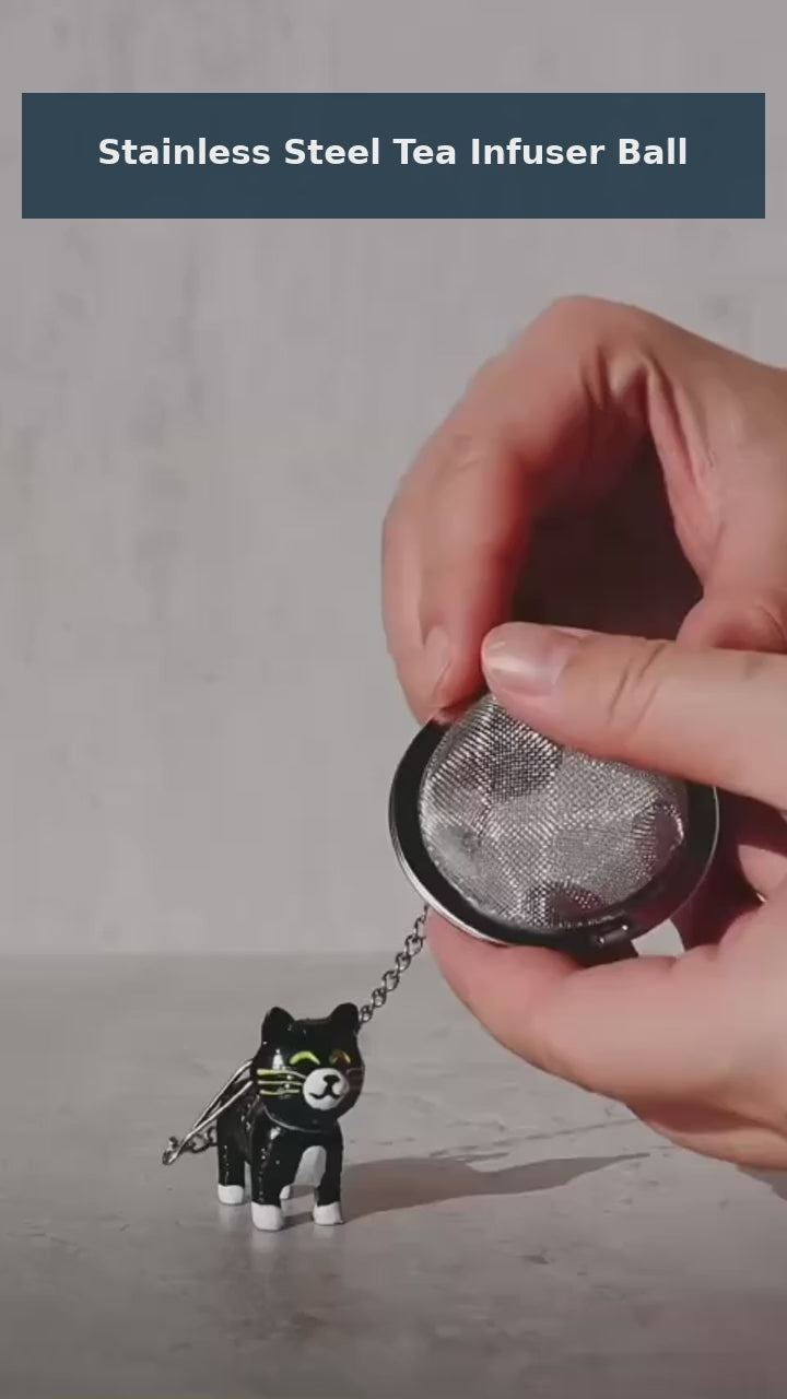 Stainless Steel Tea Infuser Ball